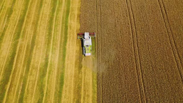 Seasonal works on the field. 