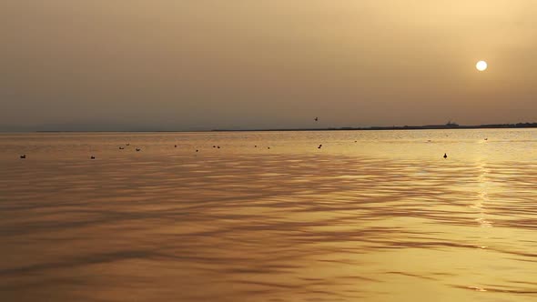 Sea Sunset and Sea Birds