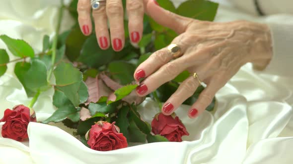 Red Manicure and Fresh Red Roses.