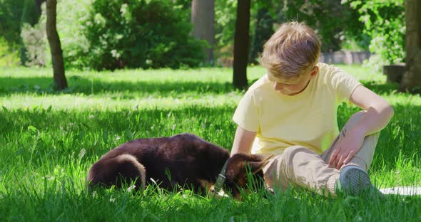 Smiling Boy Sitting on Grass and Playing with Cute Puppy