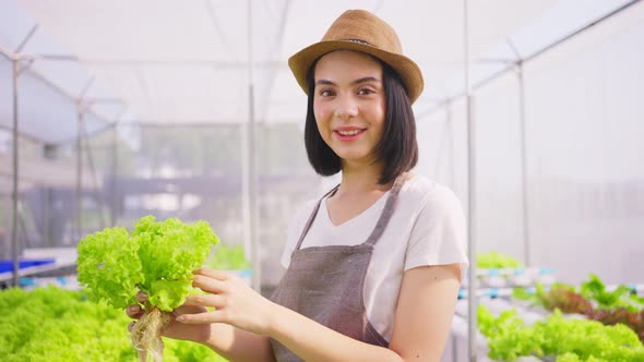 Portrait of young Caucasian farmer pretty girl working in vegetables hydroponic farm with happiness.