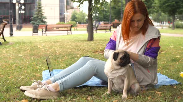 Girl Combing Her Pug Out in a Park