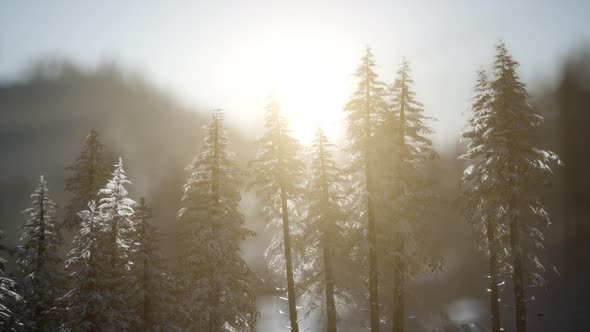 Dramatic Winter Sunrise in the Mountains