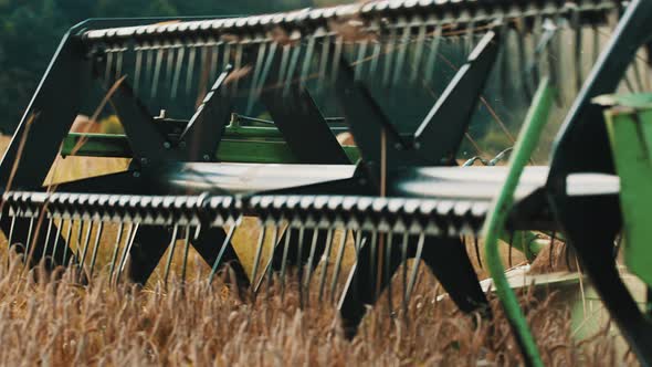 Cutter Bar Of A Combine Harvester Rolling In The Ripe Wheat Field  Gathering Crops