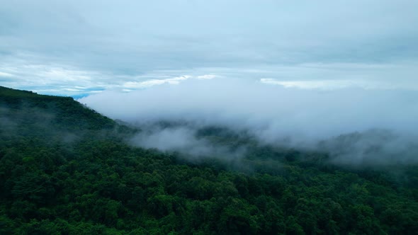 4K Aerial Drone shot flying over beautiful mountain ridge in rural jungle bush forest.