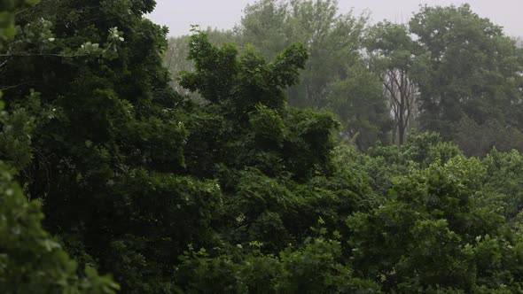 Heavy Rain And Strong Wind 13 alt