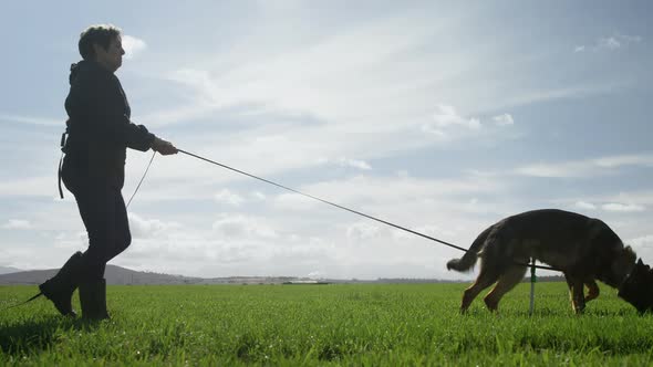 Shepherd dog walking with his owner in the farm