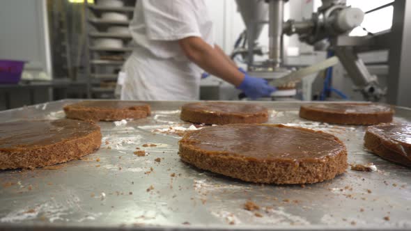 Pastry Chef Applies Cream on Biscuit Cakes Using Equipment