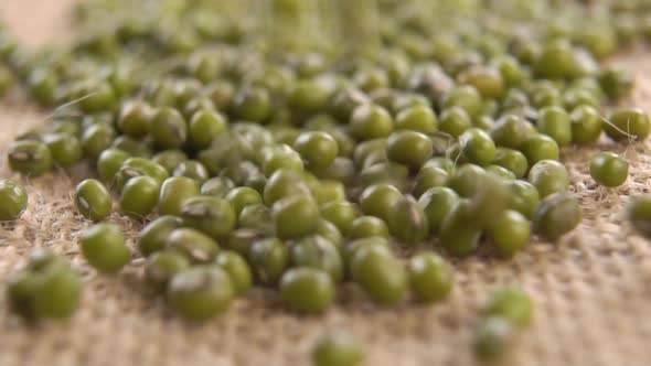 Green legumes mung beans fall on the burlap in slow motion