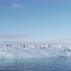 Adelie Penguins on ice floe - VideoHive Item for Sale