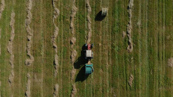 Agricultural Machinery Collects Dry Straw in Rolls and Round Large Bales