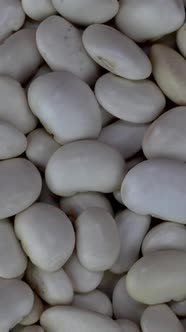 White Dry Organic Kidney Beans Rotating Slowly on Turntable Food Background