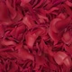Rose Petals Transition 01 HD - VideoHive Item for Sale