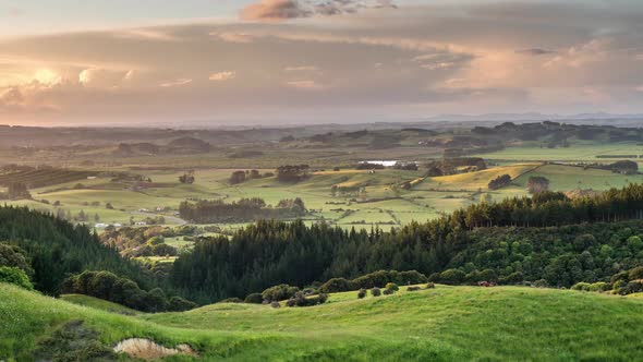 New Zealand Golden Sunset