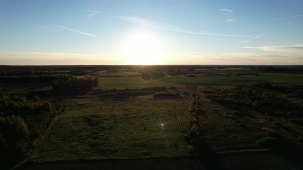 Sunset on the field