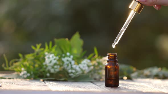 Drop of Essential Oil Falls From a Pipette Into a Cosmetic Bottle, Macro