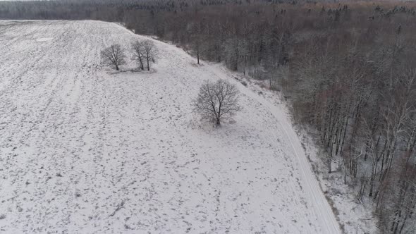 Winter Landscape with Forest, Field. Winter Landscape