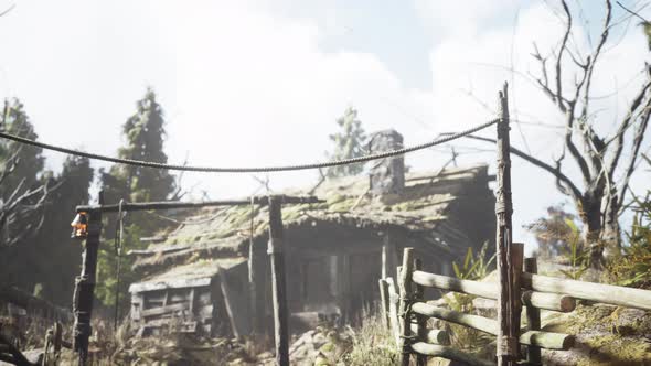 Old Retro Village in Pine Forest alt