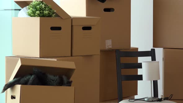 Cardboard Boxes and Chair in the Interior of an Apartment - Closeup