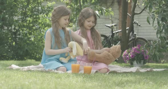 Portrait of Charming Happy Twin Sisters Playing with Soft Toys on Backyard. Caucasian Brunette Girls