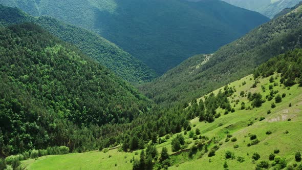 Canyon Among High Mountains