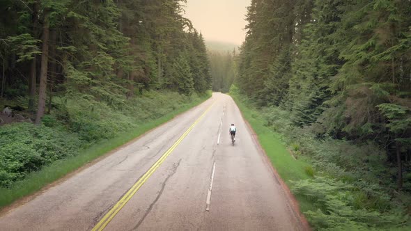 Cyclist On Forest Road At Sunset