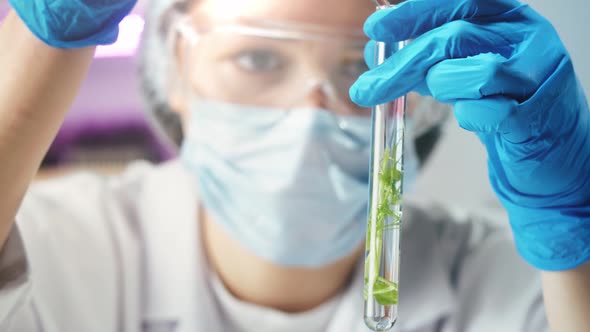 Medical Scientist Inspecting Microgreens Wearing Protective Unform Working in Laboratory