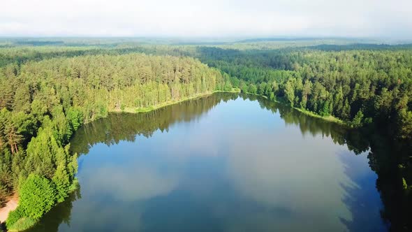 Coniferous Forest And Zelenukha River 02