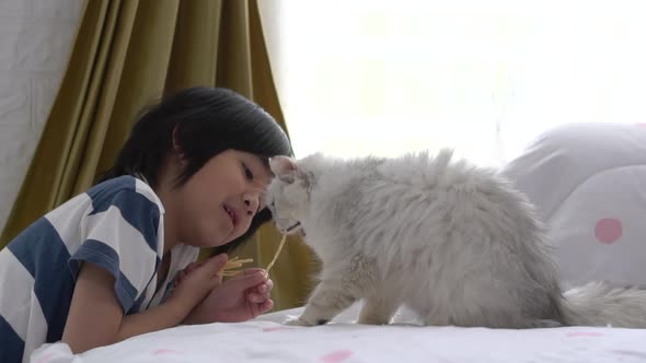 Cute Asian Child Feeding  Cats At Home