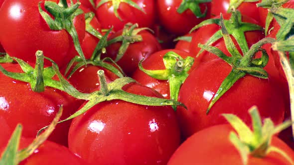 Close Up Pile Of Fresh Tomato On The Market Counter 1 / Videohive