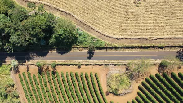 Rural landscape aerial view. Nature scenery