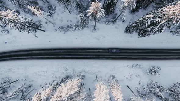 Automobile Drives Along Road Across Tranquil Winter Woods