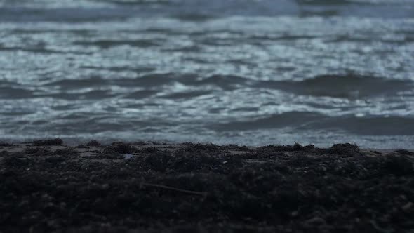 Dead seaweed and small waves on the beach, slow motion