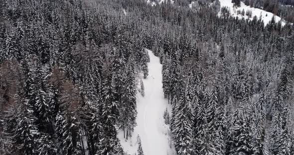 Forward Overhead Vertical Aerial Above Snowy Trail Long Path with Woods Forest