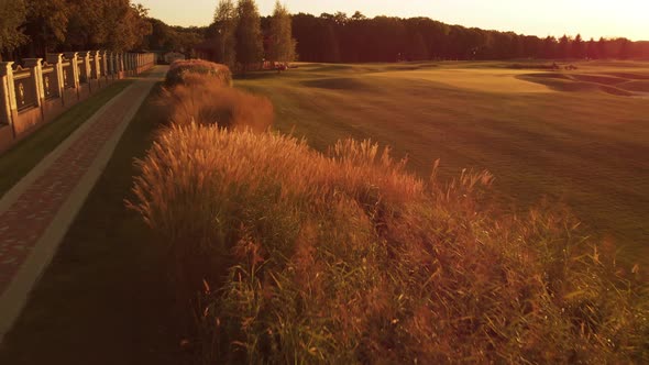 Low Fly Over Reeds and Golf Field with Short Grass