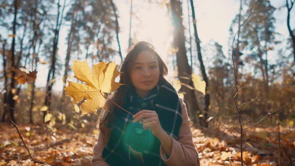 School Girl Is Sitting on Foliage in Forest and Viewing on Maple Leave in Hands