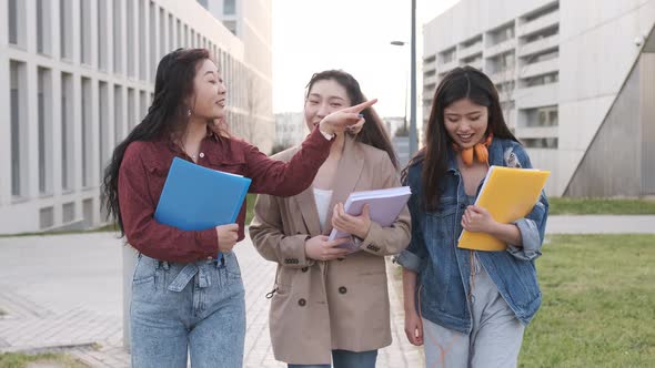 University students talking and having fun together after having classes together on the college