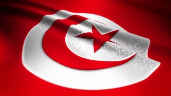 Tunisia Flag Seamless Loop