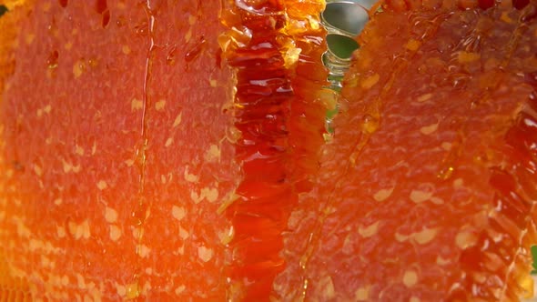 Sliced Piece of Honeycomb Falls on a Board