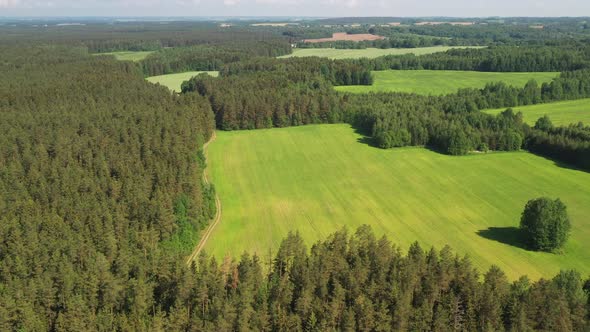 View From the Height of the Green Field and the Forest Near Minsk