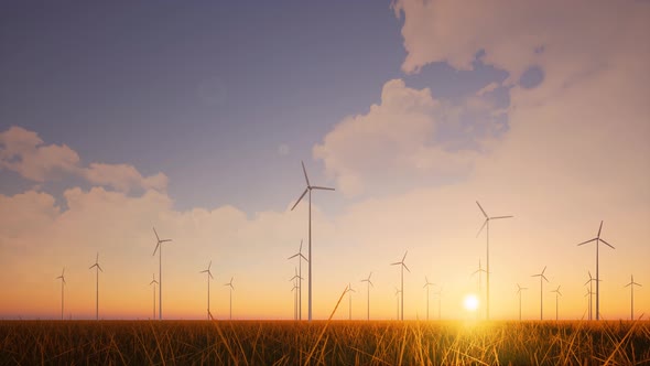 Wind Farm Sunset on Grass