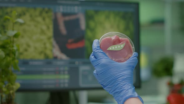 Closeup of Scientist Woman Holding in Hands Petri Dish with Vegan Beef Meat