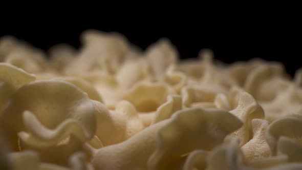 Fresh Real Natural Home Made Pasta on the Table with Black Background. Beautiful Camera Span Over