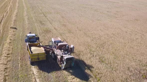 Aerial View of Combine Harvester Agriculture Machine Harvesting Golden Ripe Wheat Field