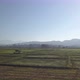 Aerial Shot of Rice Field in the North of Thailand - VideoHive Item for Sale