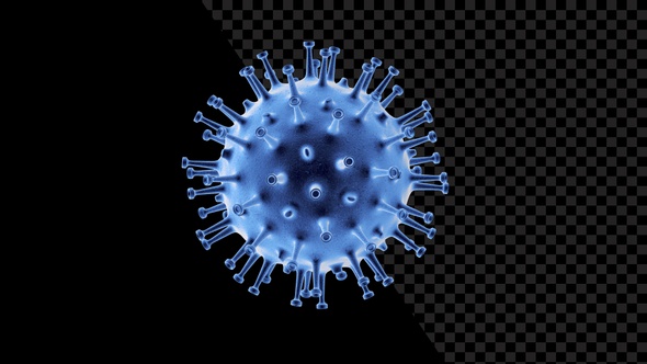 Coronavirus Visualization Covid 19 V22
