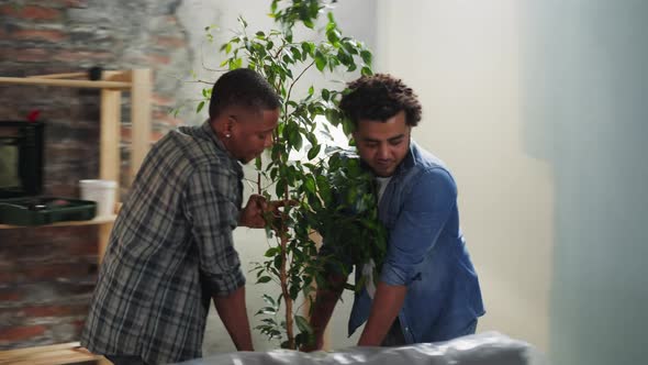 AfricanAmerican Men Carry Pot with Ficus in Living Room