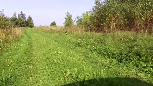 Country Road Running Along the Forest Covered Grass and Flowers