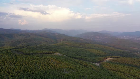 Mysterious Trail in the Forest Filmed on a Drone