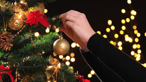 Girl Hanging Decorative Ball on Christmas Tree Branch